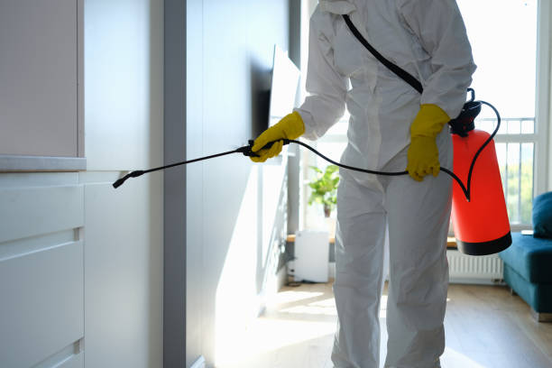 Best Kitchen Mold Remediation in Jackson, OH