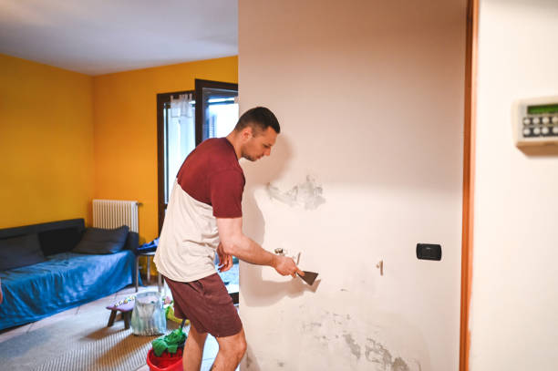 Best Residential Mold Remediation in Jackson, OH