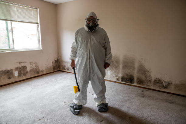 Best Bathroom Mold Remediation in Jackson, OH